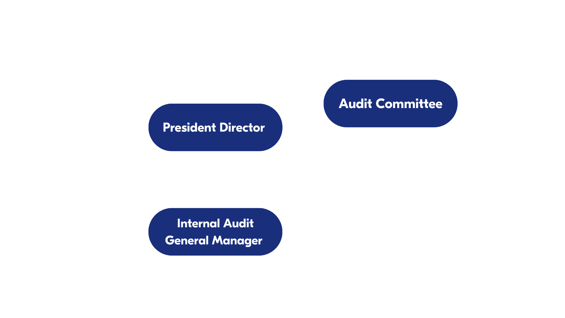 Satuan Audit Internal Satuan Audit Internal