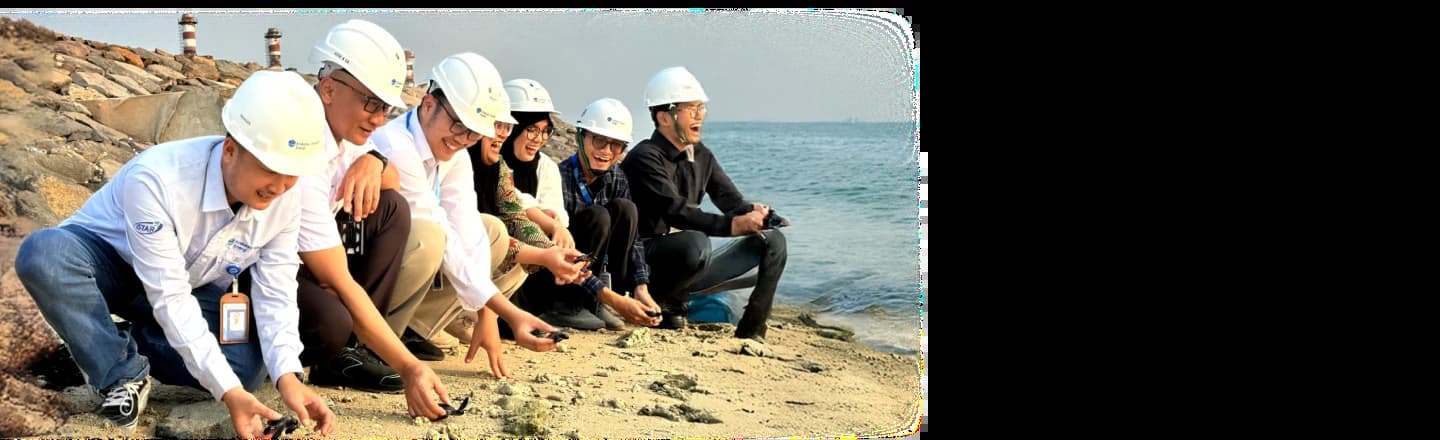 Marine Conservation background Marine Conservation background