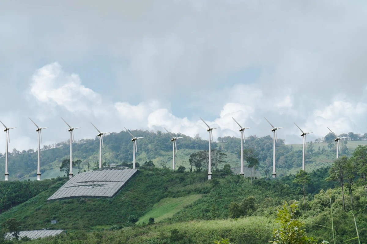 Pentingnya Beralih ke Energi Terbarukan