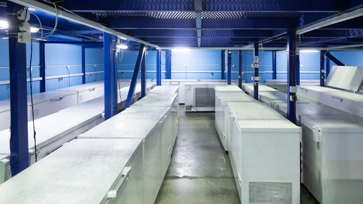 Apa Itu Cold Chain