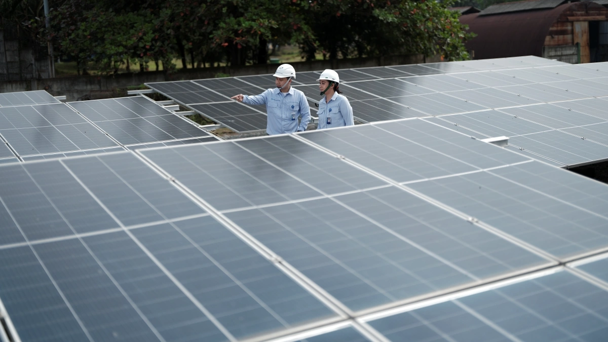 Renewable Energy Investment Potential in Indonesia