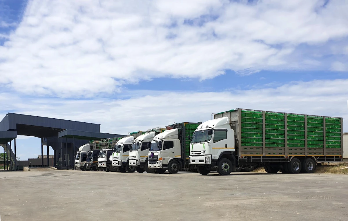 Jenis Layanan Logistik