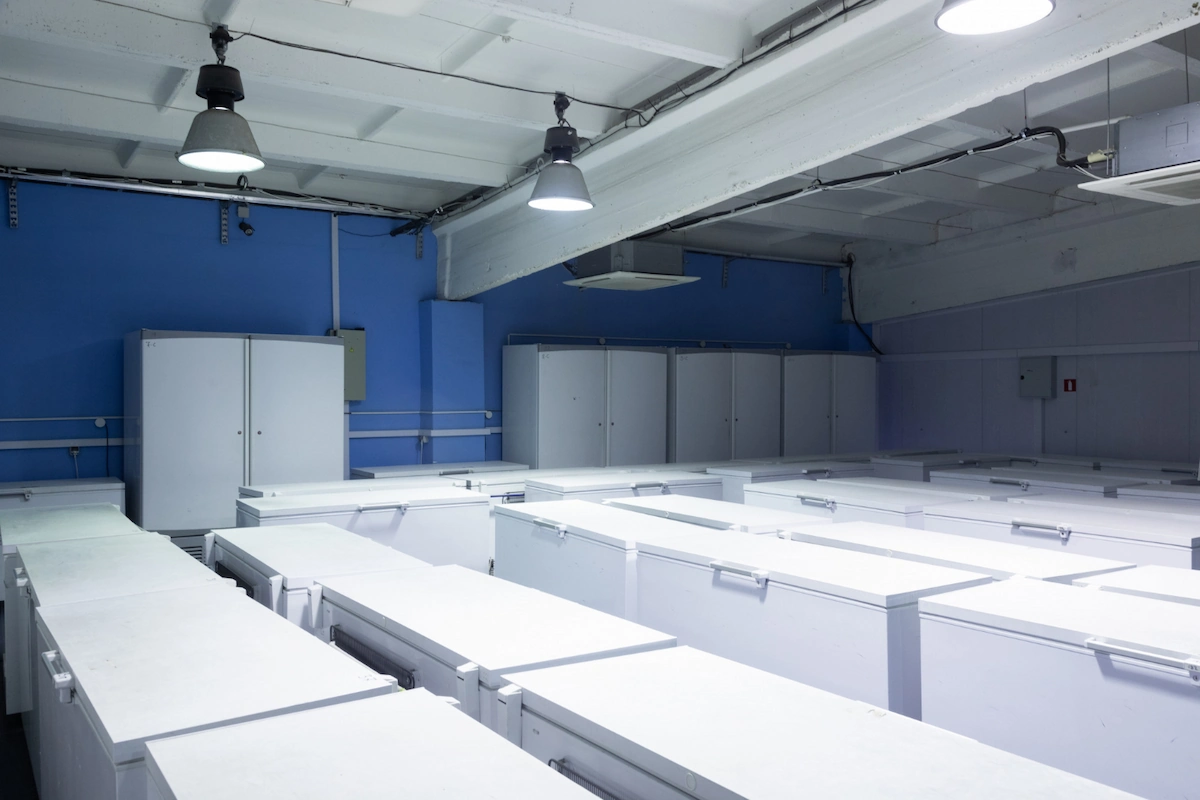 Cold storage warehouse containing a collection of refrigerators
